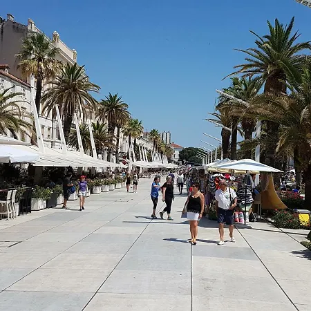 Nikic-pavic * Trogir